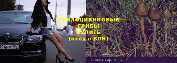ешки Сафоново