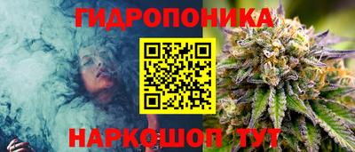 крисы Краснокаменск